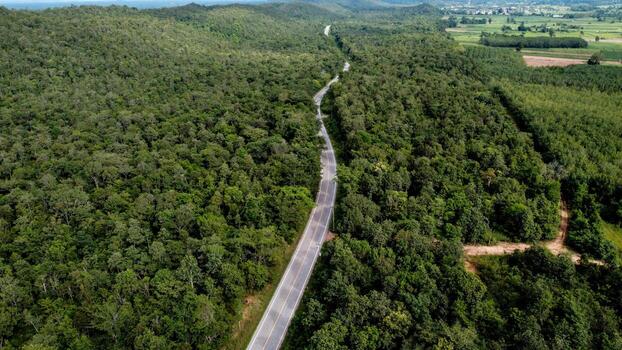Arial view of a highway through a forest at sunset photo