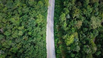 Arial view of a highway through a forest at sunset photo