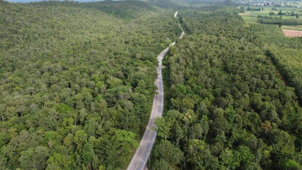 Arial view of a highway through a forest at sunset photo