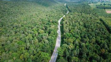 Arial view of a highway through a forest at sunset photo