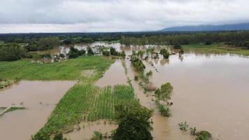 flood in Thailand photo
