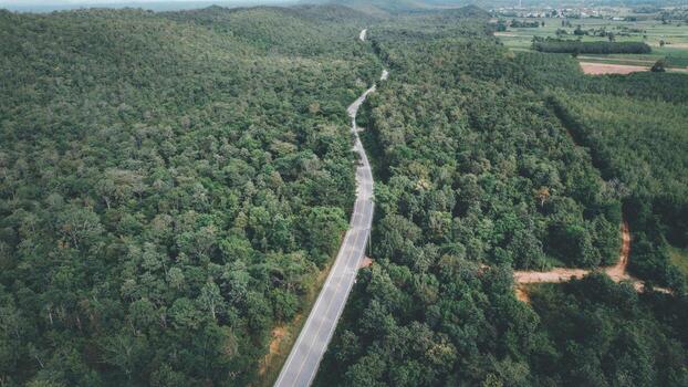 Arial view of a highway through a forest at sunset photo