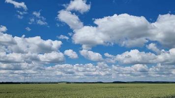 Timelapse of floating clouds over a field of green wheat. video