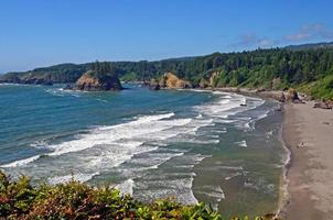 mirando hacia abajo en una playa del norte de california foto