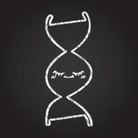 DNA Strand Chalk Drawing vector