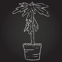House Plant Chalk Drawing vector