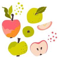 Apples set. Sliced pieces. Healthy ripe fruits. Vector illustration