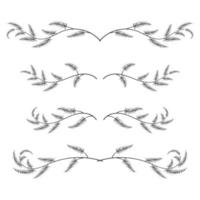 set of tree branches borders. - Vector. vector
