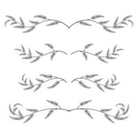 set of tree branches borders. - Vector. vector