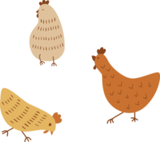 linda caricatura de pollo. lindo conjunto de pollos. gallinas y gallos divertidos caminando elementos aislados de pie. colección de ilustraciones de personajes de granja de pollos. divertidas aves domésticas, granja, concepto de aves de corral. png