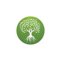 Tree logo template vector