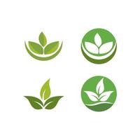 Green leaf logo vector