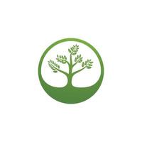 plantilla de logotipo de árbol vector
