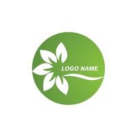 logotipo de flor de plumeria vector