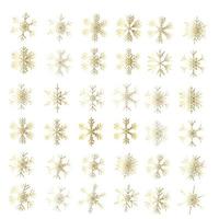 Vector set of different snowflakes