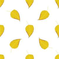 Seamless vector pattern of autumn birch leaves.