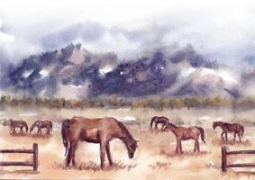 Horses in savannah nature landscape watercolor vector