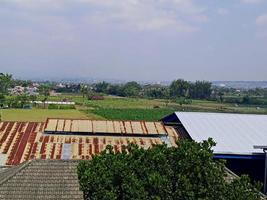 View of the rice fields and sky taken from the top of the 5th floor building photo
