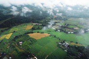 campo de arroz en la mañana en asia foto