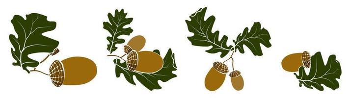 Set of oak autumn leaves with acorns. Oak Grove. Color vector in minimal style