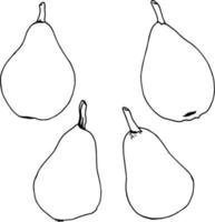 Black-and-white pears on white background. Vector image.