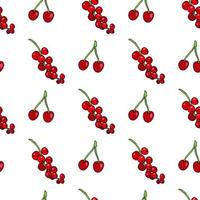 Seamless pattern with red currant and cherry on white background. Vector image.