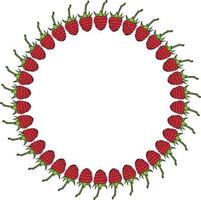 Round frame with raspberry on white background. Vector image.