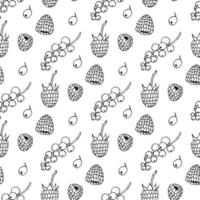 Seamless pattern with black-and-white currant and raspberry on white background. Vector image.