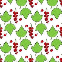 Seamless pattern with red currant and its leaves on white background. Vector image.