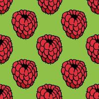 Seamless pattern with raspberry on bright green background. Vector image.