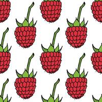 Seamless pattern with raspberry on white background. Vector image.
