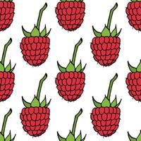 Seamless pattern with raspberry on white background. Vector image.