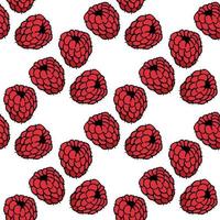 Seamless pattern with sweet raspberry on white background. Vector image.