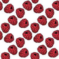 Seamless pattern with sweet raspberry on white background. Vector image.