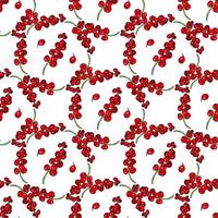 Seamless pattern with beautiful red currant on white background. Vector image.