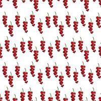 Seamless pattern with simple red currant on white background. Vector image.