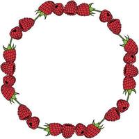 Round frame with sweet raspberry on white background. Vector image.