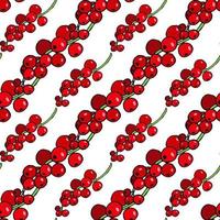 Seamless pattern with wonderful red currant on white background. Vector image.