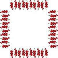 Square frame with cute red currant on white background. Vector image.