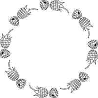 Round frame with black-and-white raspberry on white background. Vector image.