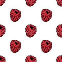 Seamless pattern with cozy raspberry on white background. Vector image.