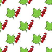 Seamless pattern with red currant and leaves on white background. Vector image.