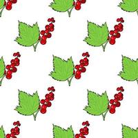 Seamless pattern with red currant and leaves on white background. Vector image.