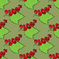 Seamless pattern with sweet red currant on green background. Vector image.