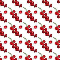 Seamless pattern with awesome red currant on white background. Vector image.