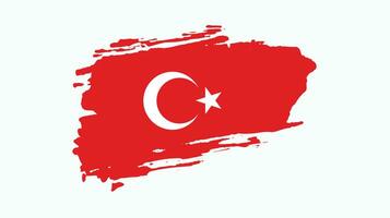 Turkey brush grunge flag vector