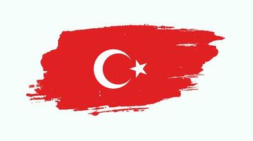 Hand paint Turkey flag vector