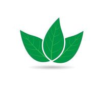 Green leaf logo vector