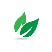 Green leaf logo vector