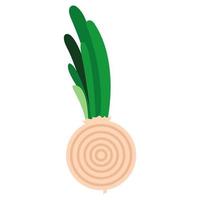 Onion doodle icon vector